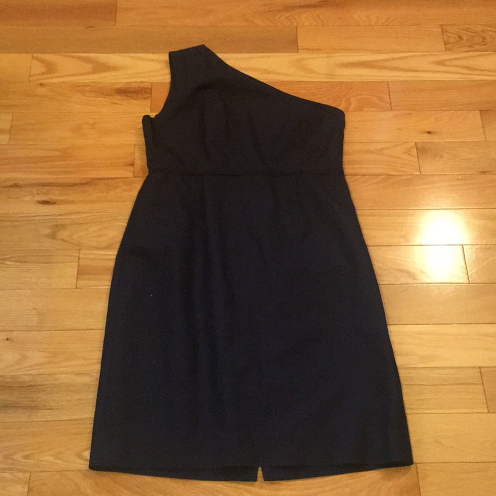 Navy J. Crew Party Dress